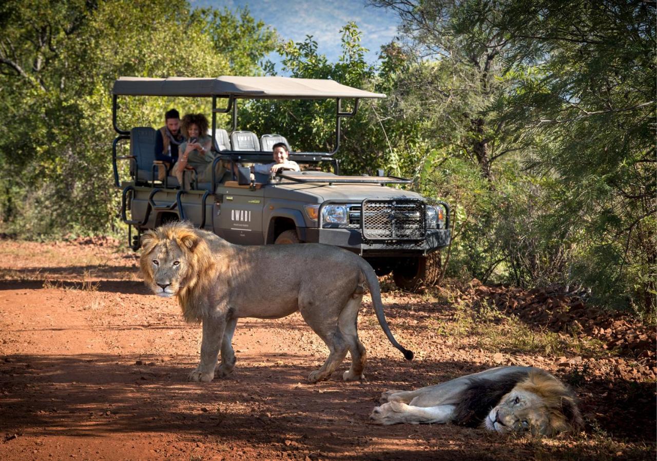 Babohi At Qwabi Private Game Reserve By Newmark 벨라벨라 외부 사진